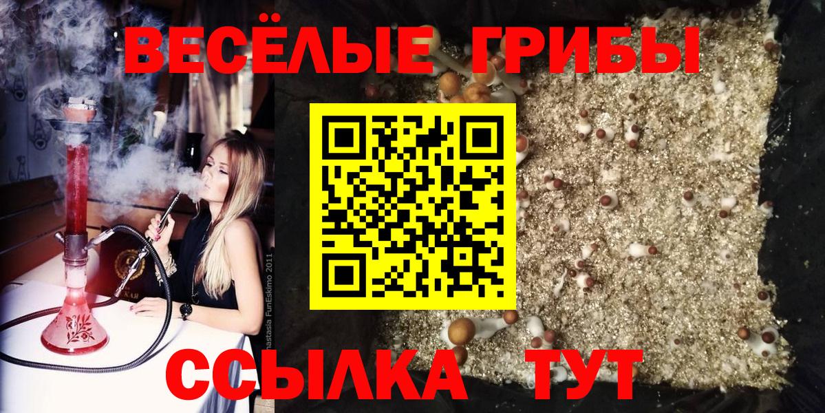 Верхний Уфалей  Псилоцибиновые грибы Psilocybe  Вход с VPN  Галлюциногенные грибы Psilocybe 