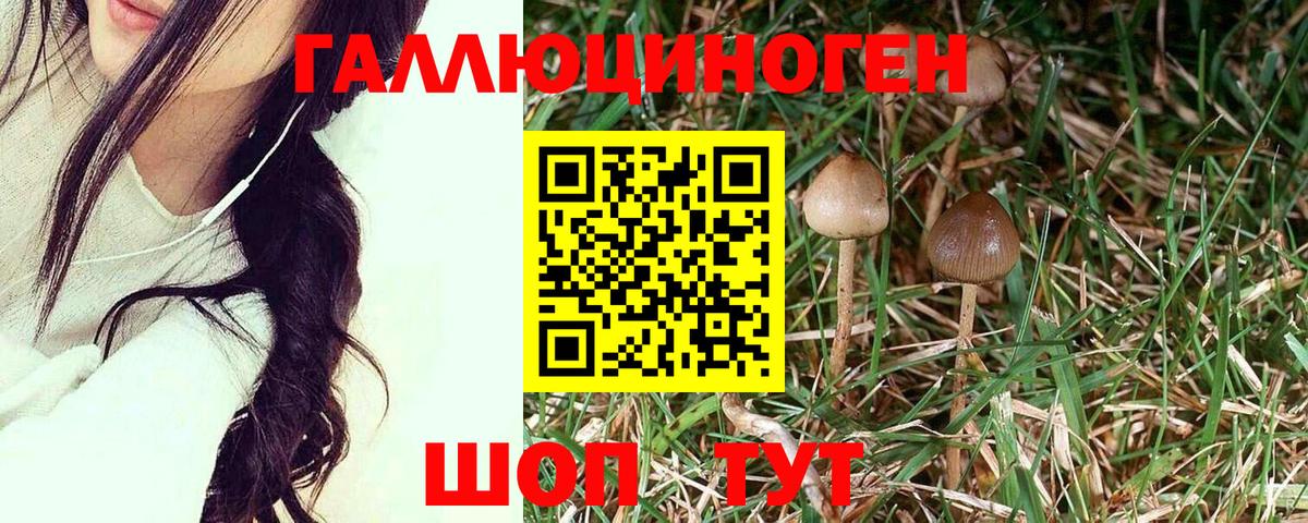 Галлюциногенные грибы MAGIC MUSHROOMS Верхний Уфалей